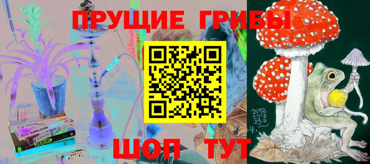Галлюциногенные грибы GOLDEN TEACHER Избербаш