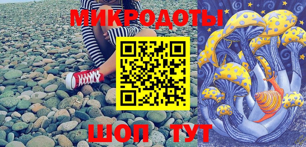 Псилоцибиновые грибы GOLDEN TEACHER  Вход с VPN  Избербаш  Галлюциногенные грибы MAGIC MUSHROOMS 