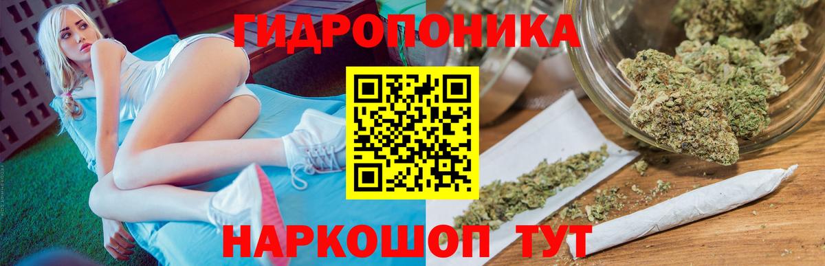 Конопля OG Kush  Вход с VPN  Канабис OG Kush  Избербаш  Шишки марихуана план 